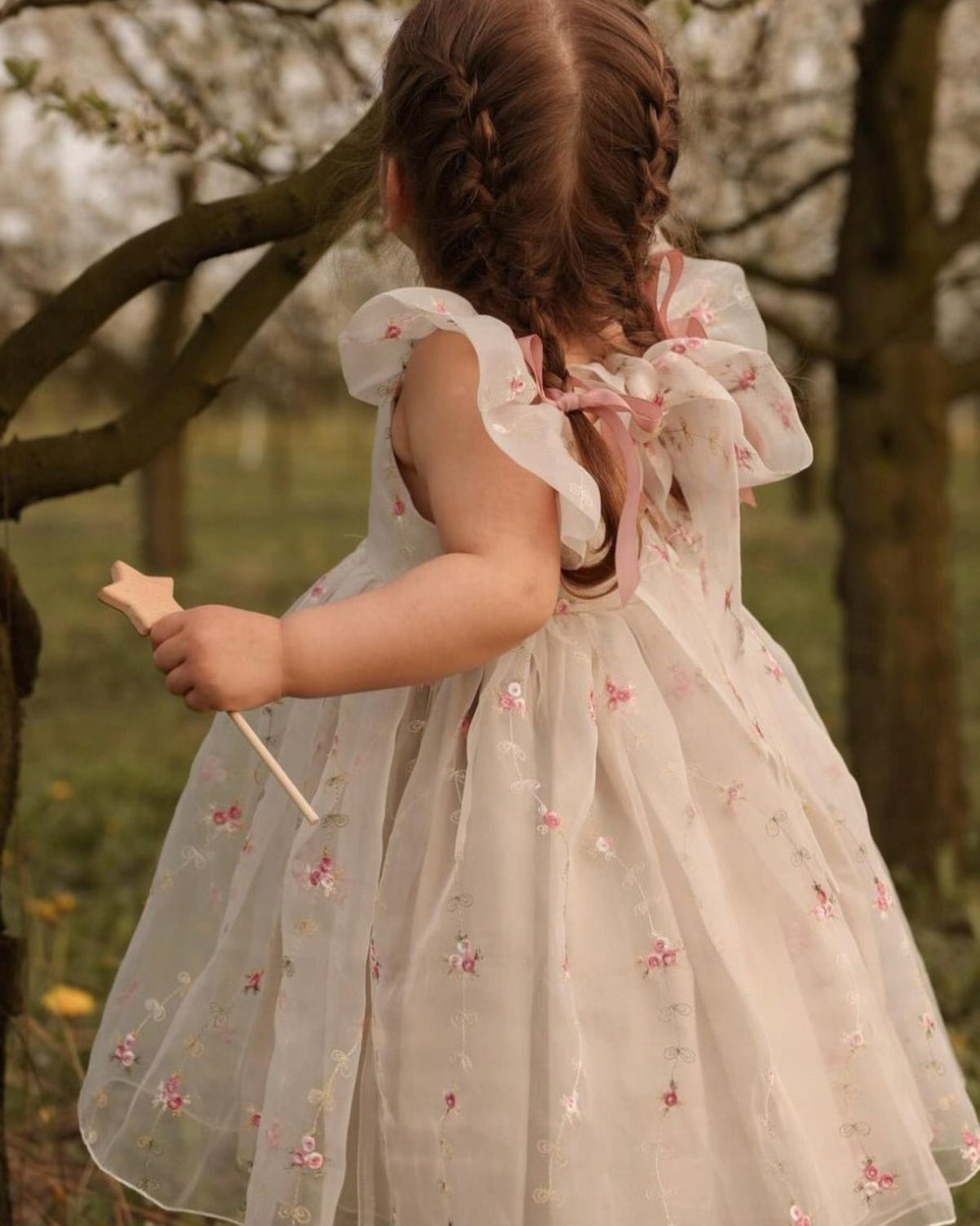 Flora embroidered beige organza dress