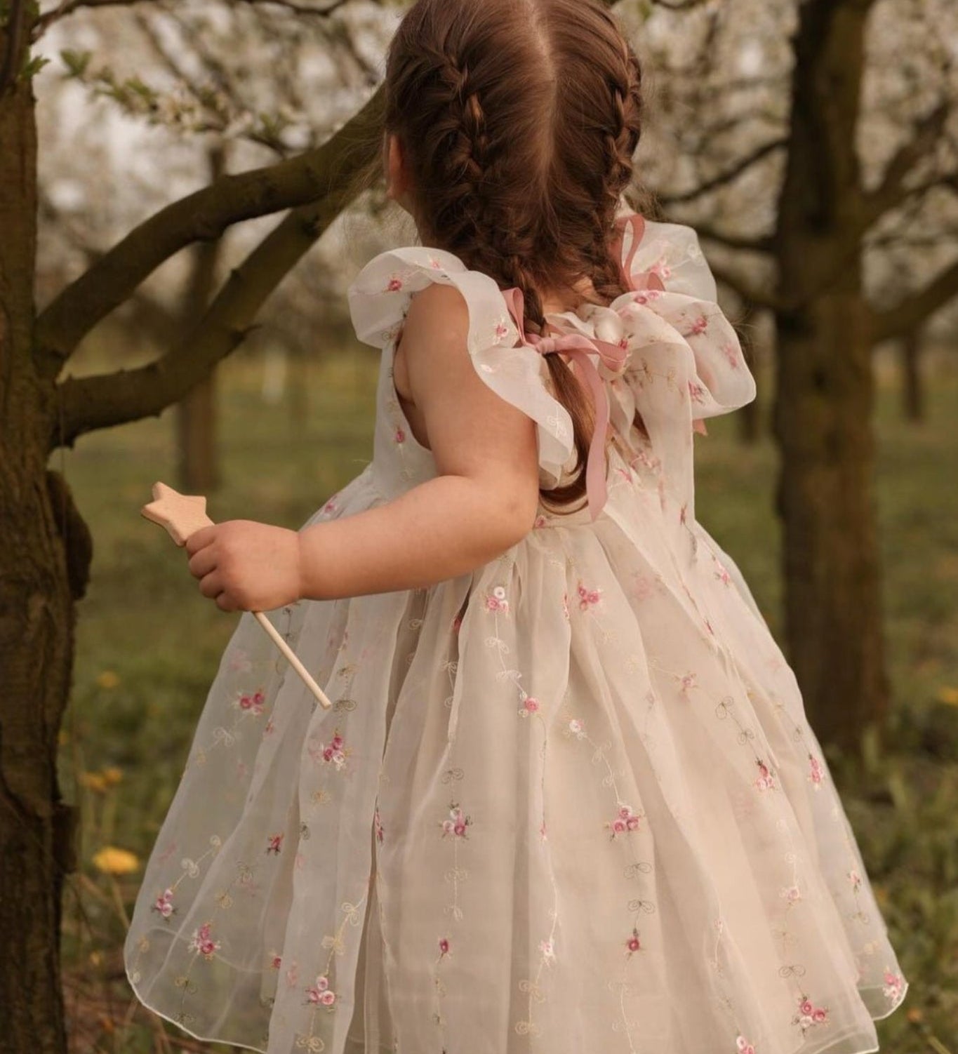 Flora embroidered beige organza dress